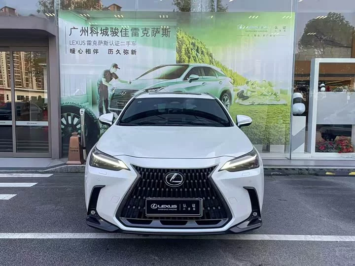 Lexus NX New Energy
