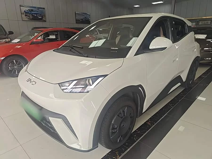 BYD Seagull