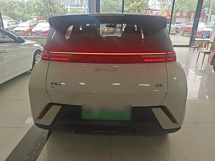 BYD Seagull