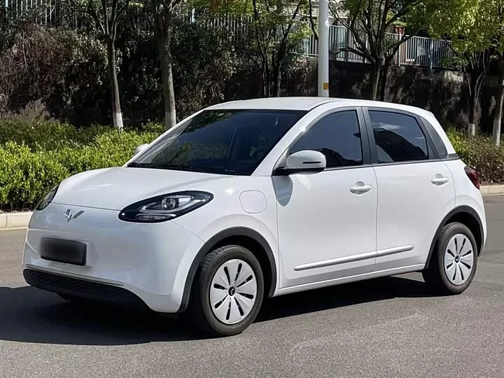 Wuling Bingo