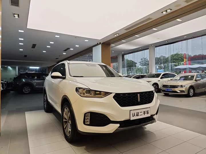 Wey VV6