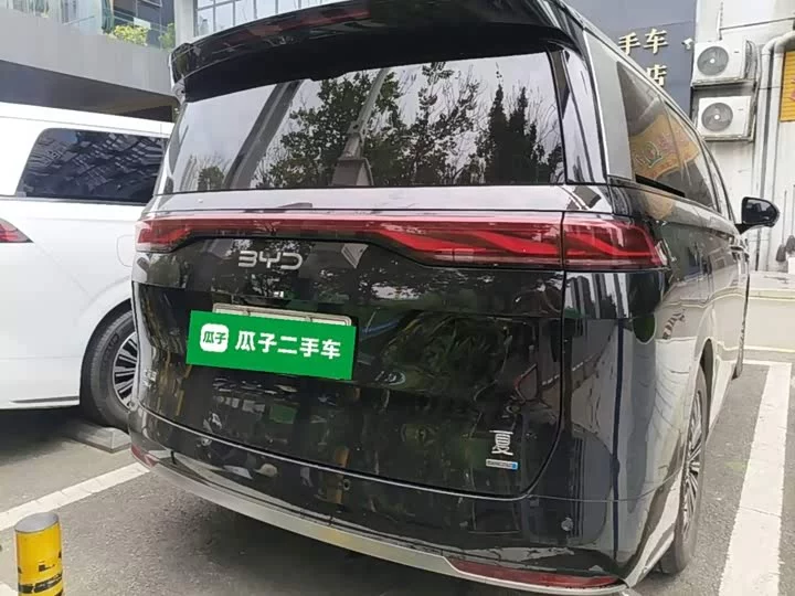 BYD summer