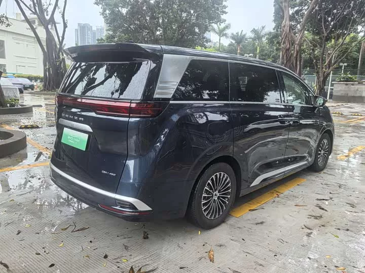 Denza D9