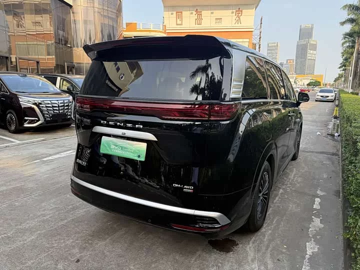 Denza D9
