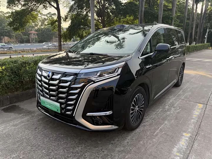 Denza D9