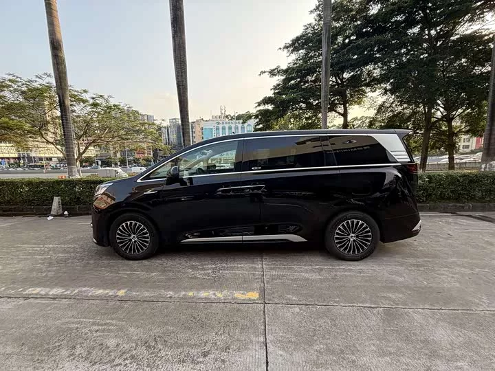 Denza D9
