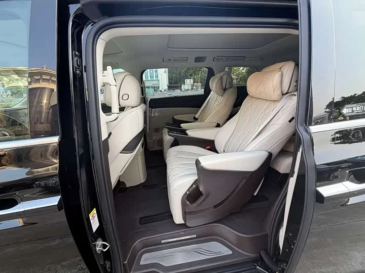 Denza D9