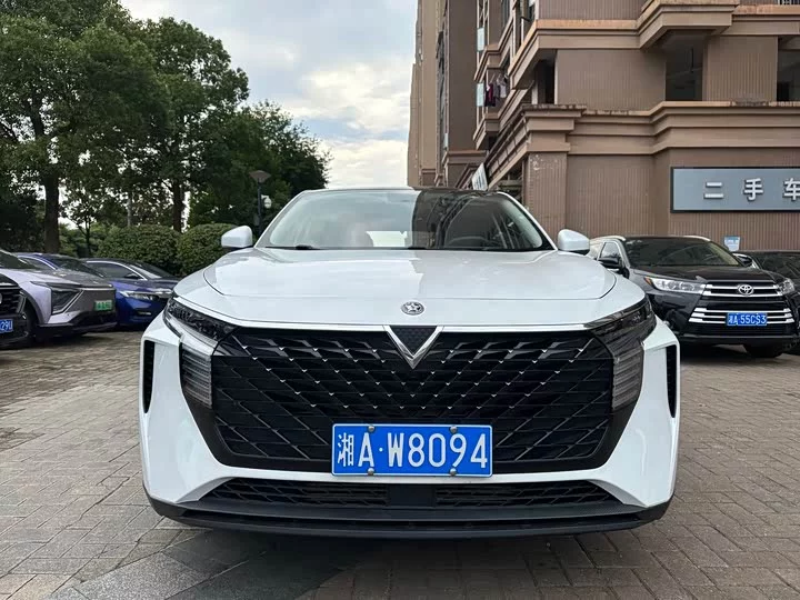Kai Chen Big V