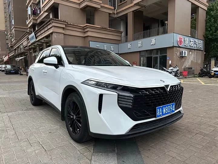Kai Chen Big V