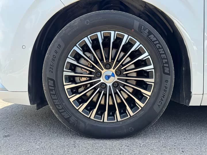 Denza D9
