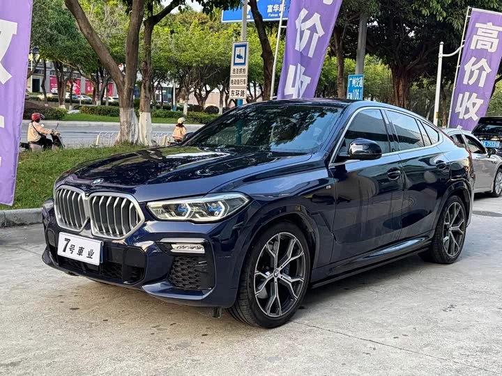 BMW X6
