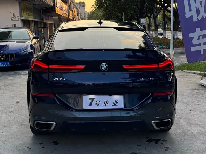 BMW X6