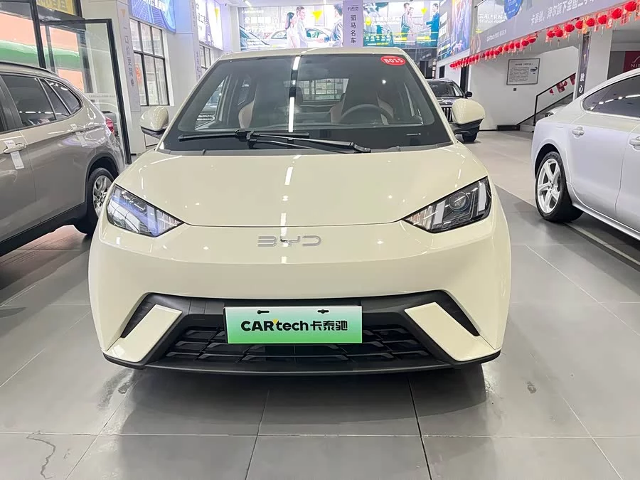 BYD Seagull