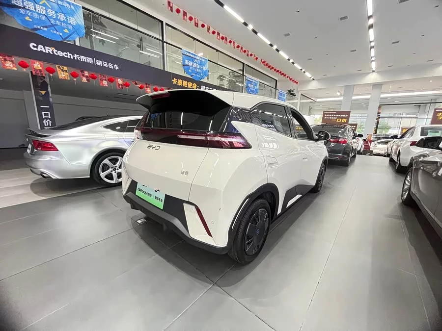 BYD Seagull