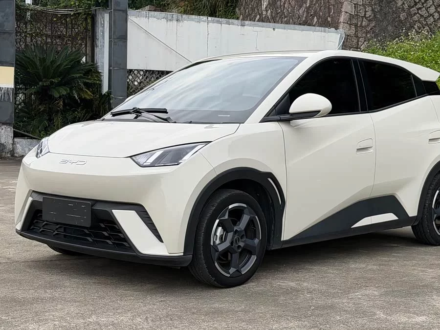 BYD Seagull