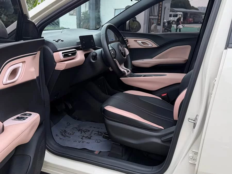 BYD Seagull