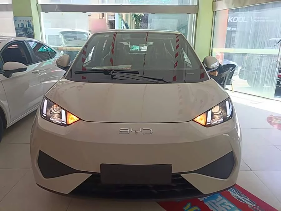 BYD Seagull