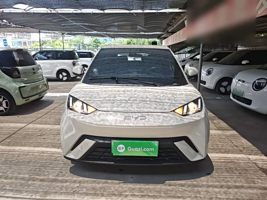 BYD Seagull