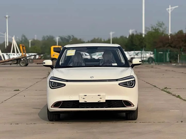 Dongfeng Nano 01
