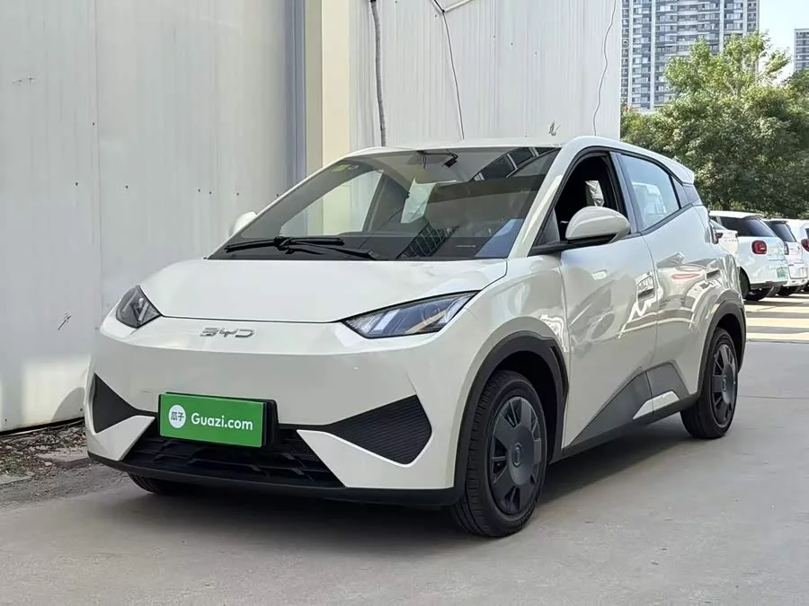 BYD Seagull