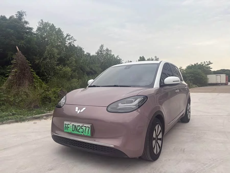 Wuling Bingo