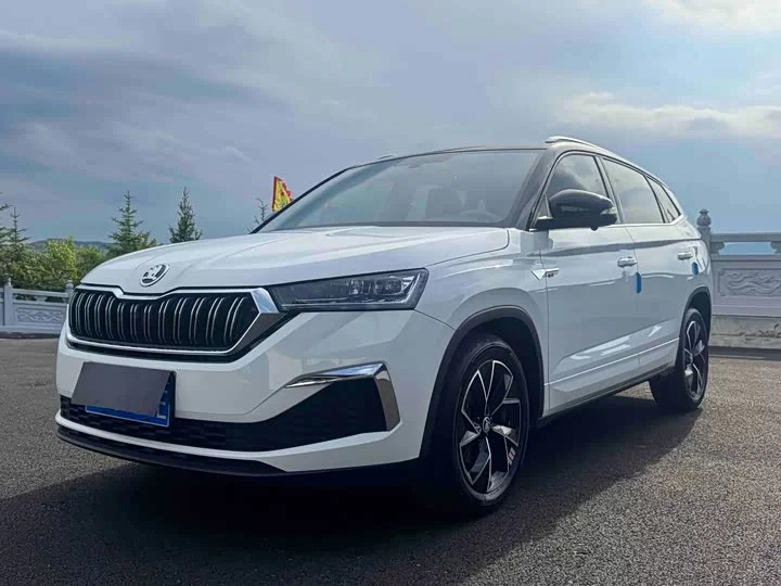 Skoda Comek