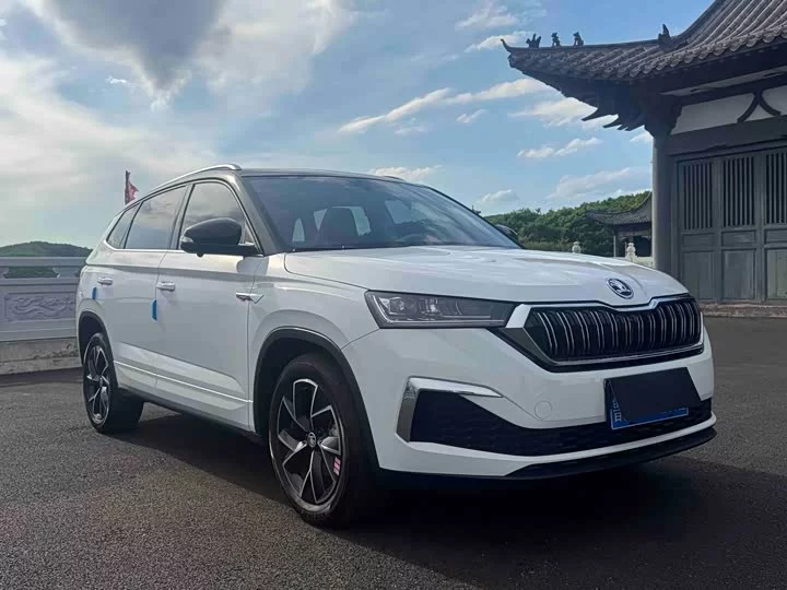 Skoda Comek