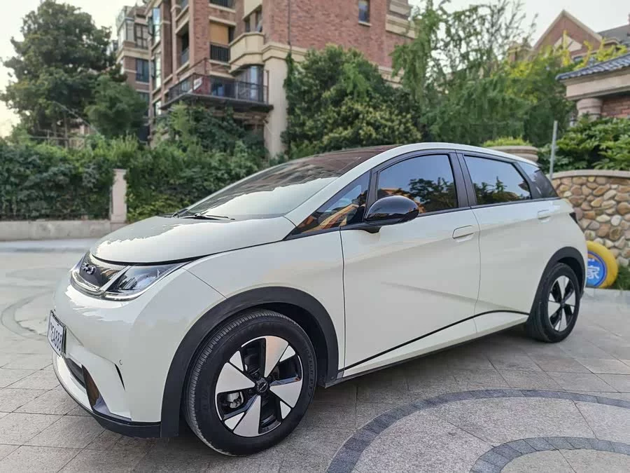 BYD Dolphin