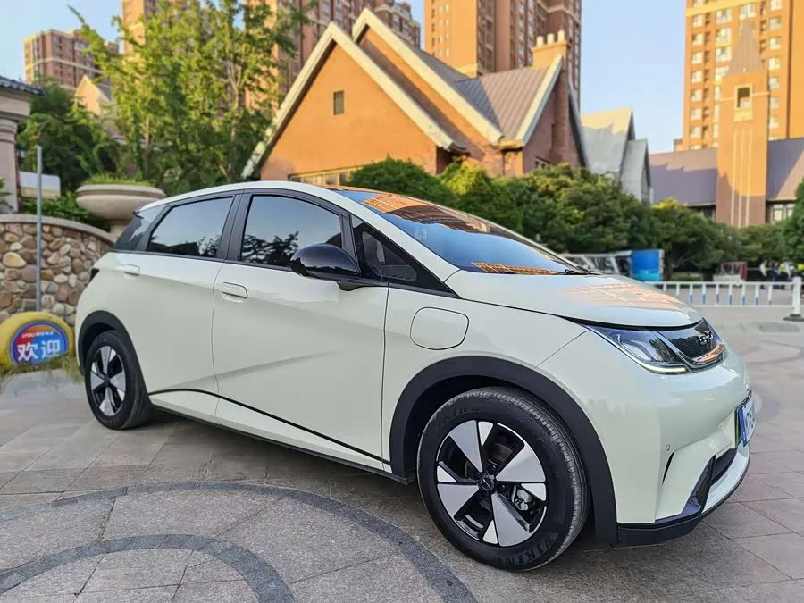 BYD Dolphin