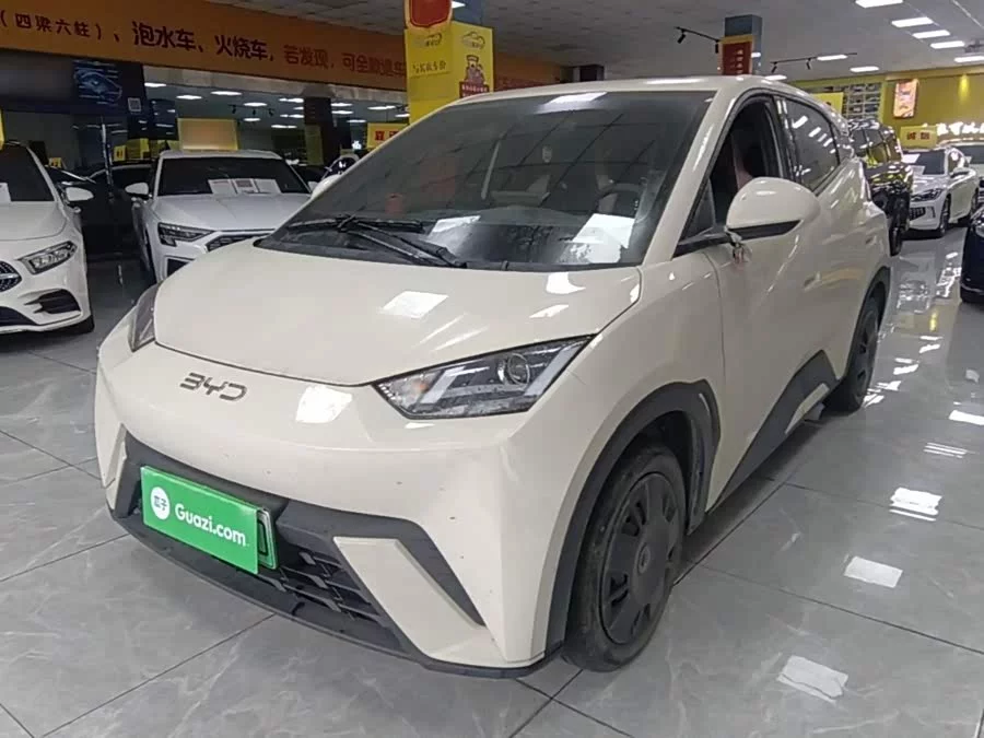 BYD Seagull
