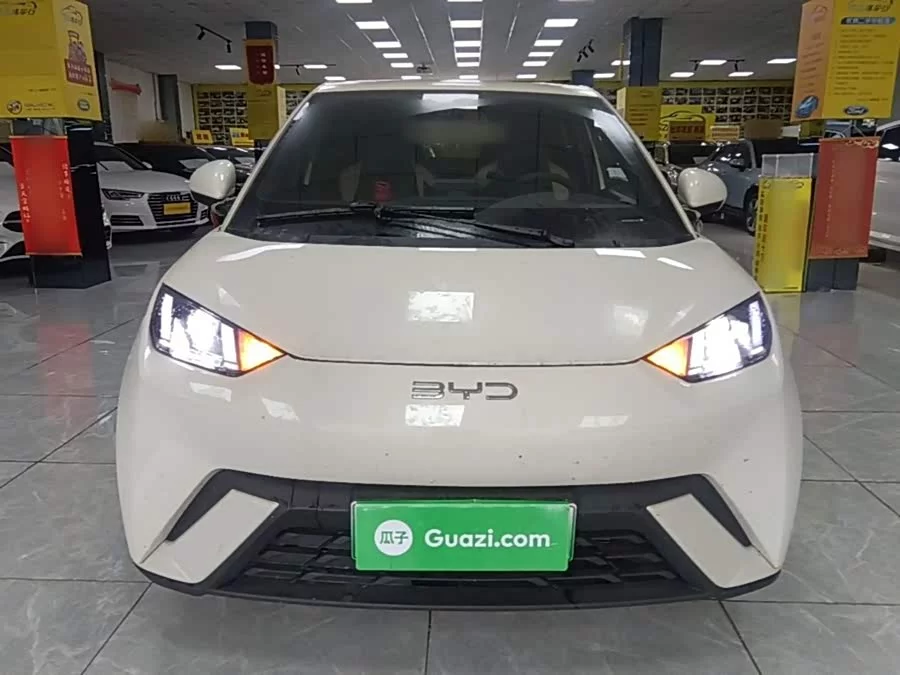 BYD Seagull