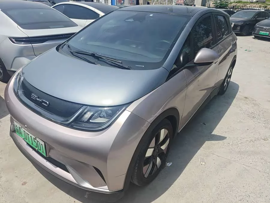 BYD Dolphin