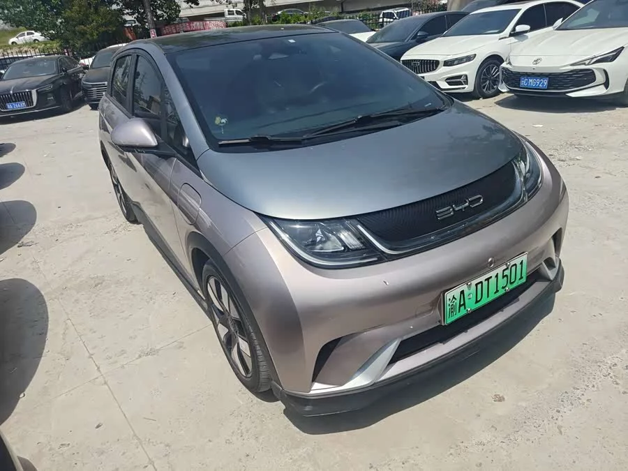 BYD Dolphin
