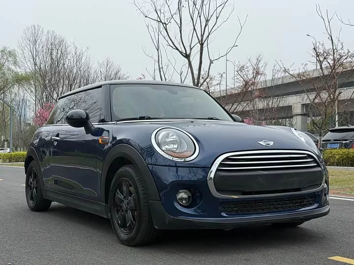 MINI 
