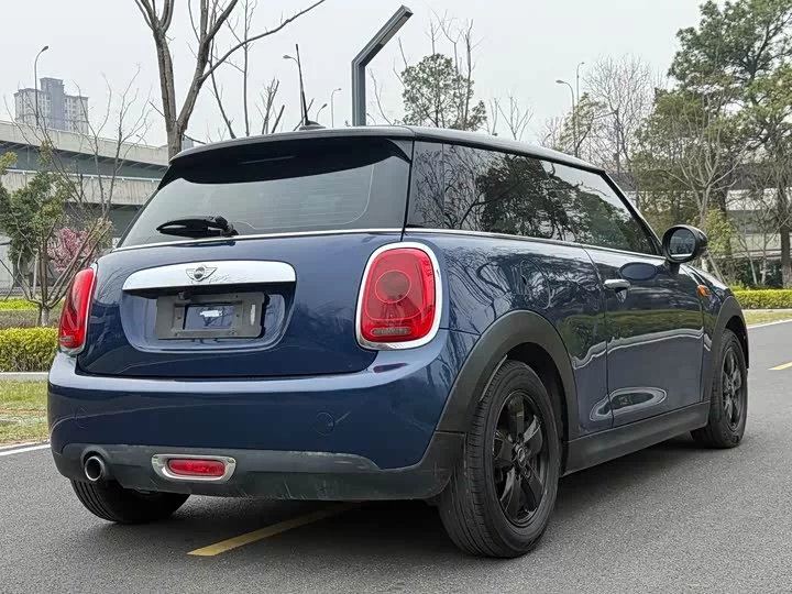 MINI 