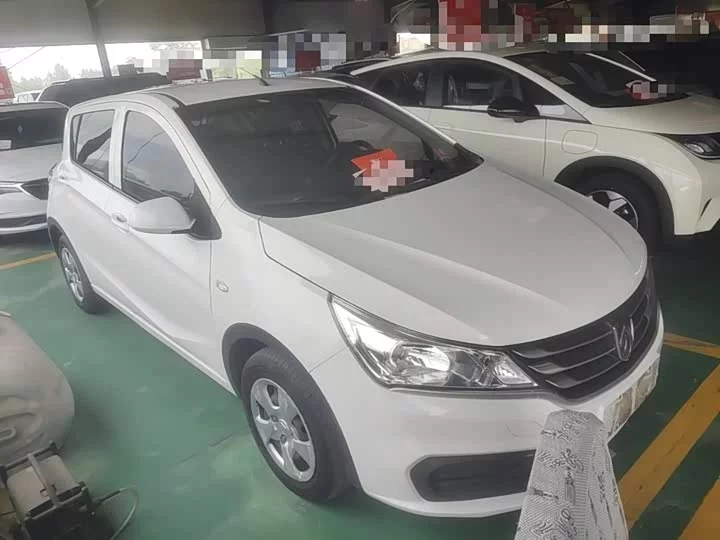Baojun 310