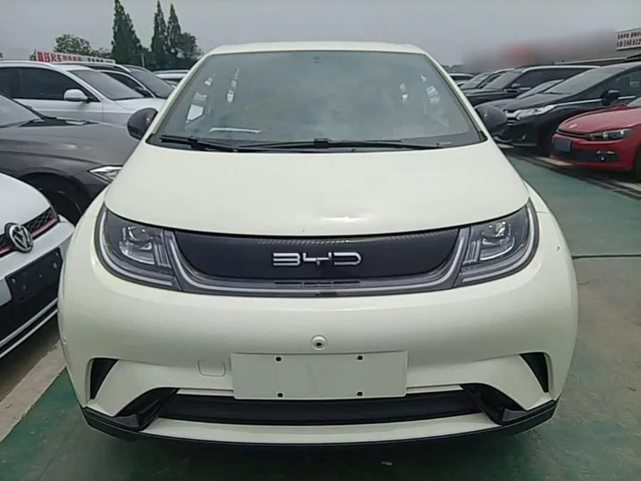 BYD Dolphin