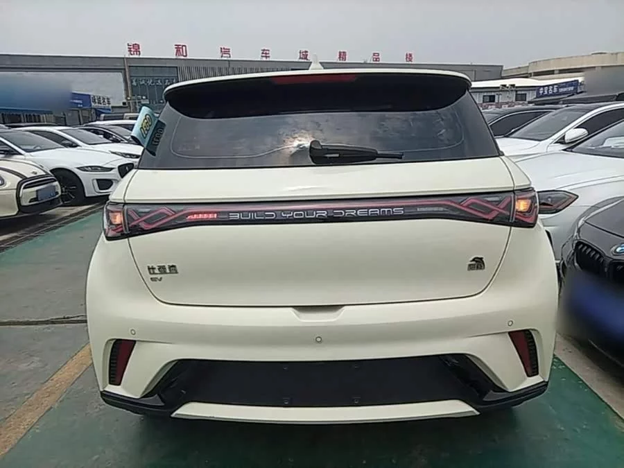 BYD Dolphin