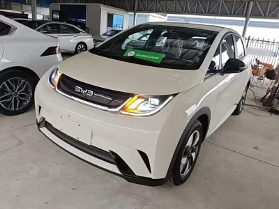 BYD dolphin