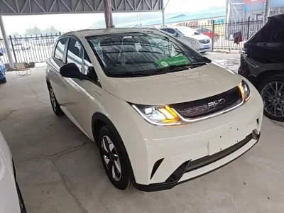 BYD dolphin