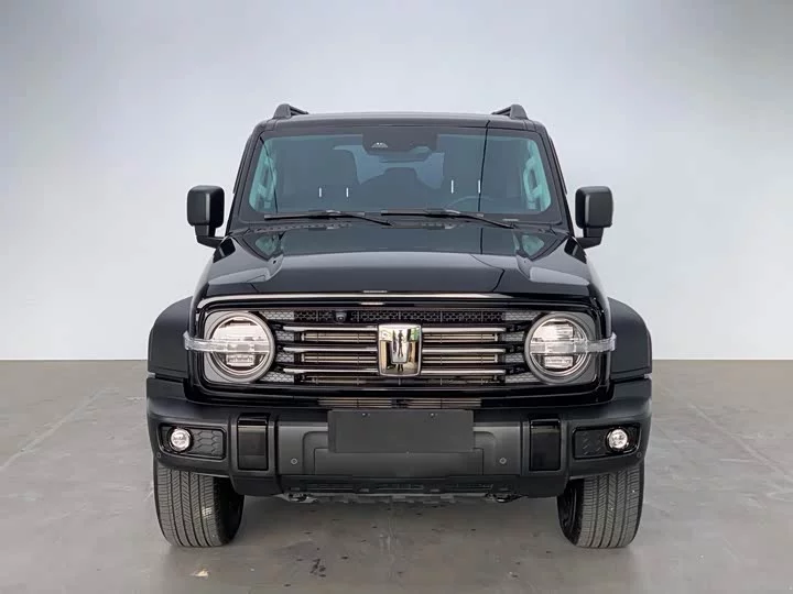 tank 300