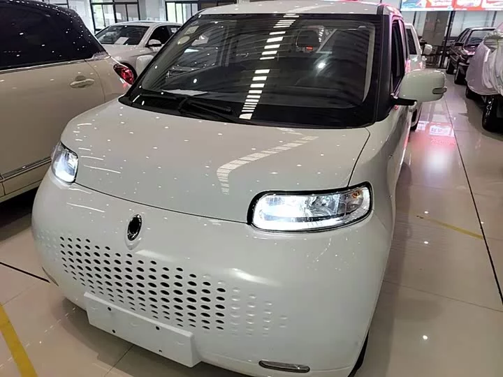 ORA White cat