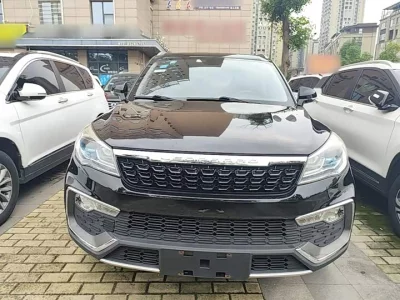 Leopaard Cheetah CS9