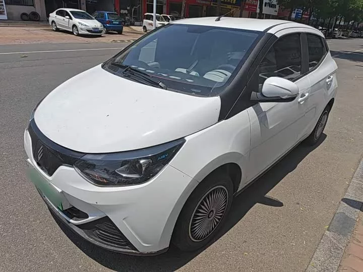 Jiangling Easy EV2
