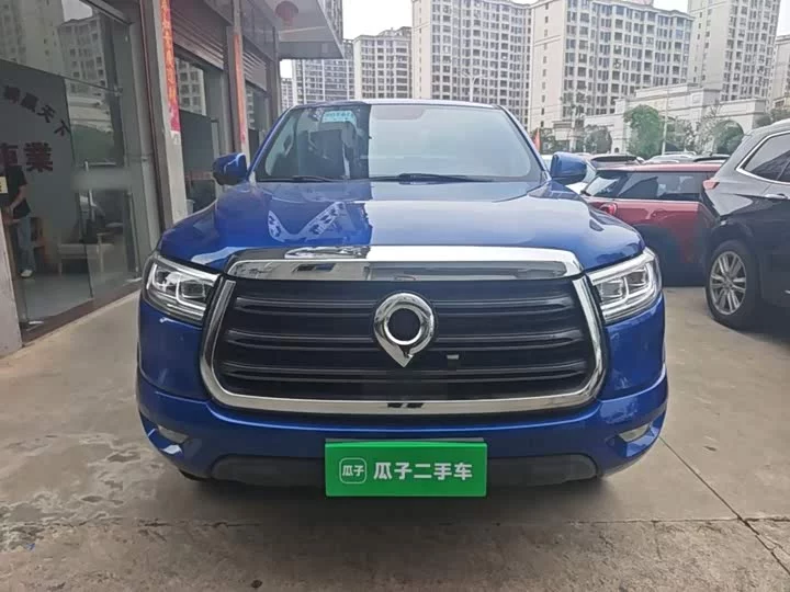 Great Wall gun