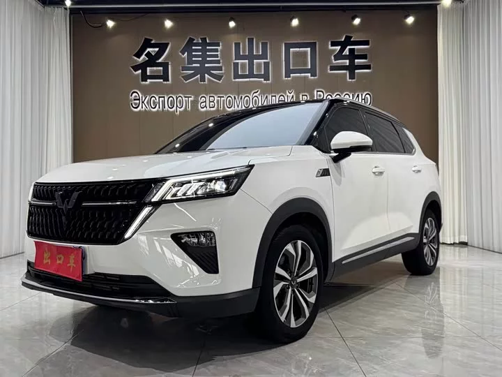Wuling Star