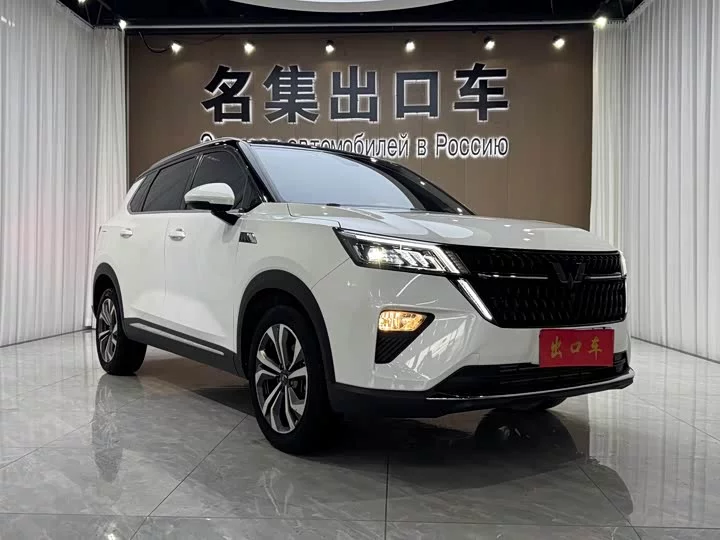 Wuling Star