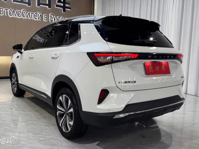 Wuling Star