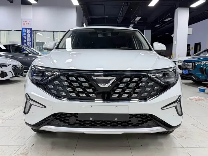 Jetta VS7