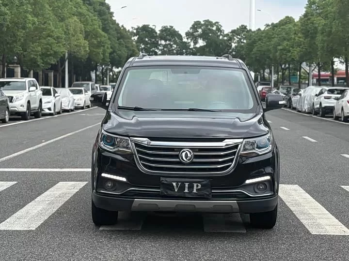 Forthing Fengxing SX6